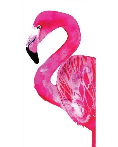 Плакат слим Pyramid Art: Sofie Rolfsdotter - Flamingo - 1