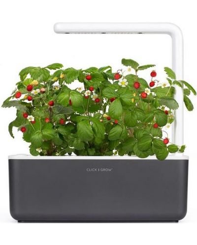 Смарт саксия Click and Grow - Smart Garden 3, 8 W, сива - 2