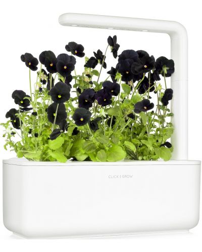 Смарт саксия Click and Grow - Smart Garden 3, 8W, бяла - 3