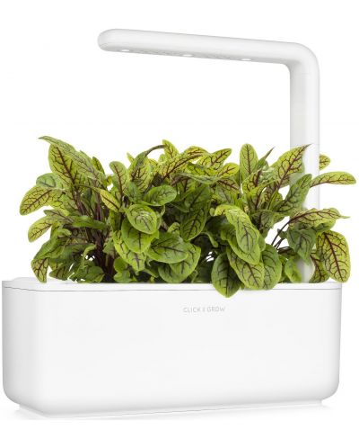 Смарт саксия Click and Grow - Smart Garden 3, 8W, бяла - 6