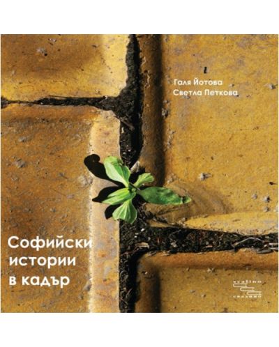 Софийски истории в кадър