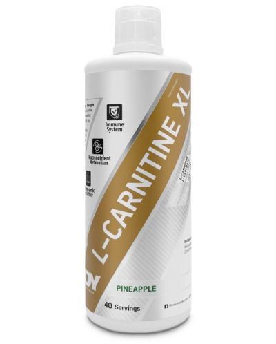 L-Carnitine XL, ананас, 1000 ml, Dorian Yates Nutrition - 1