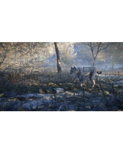 theHunter: Call of the Wild - 2019 Edition (Xbox One) - 10