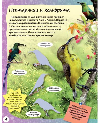 Стикерна енциклопедия „Изследовател“: Цветовете на природата - 4