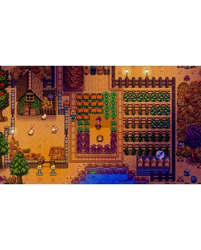 Stardew Valley Collector's Edition (Xbox One) - 6