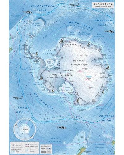 Стенна природогеографска карта на Антарктида - 1