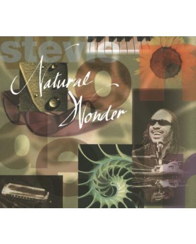 Stevie Wonder - Natural Wonder (2 CD)