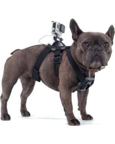 Поставка Eread - Action Camera Dog Double, черна - 7