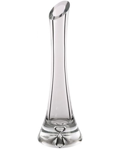 Стъклена ваза ADS - Edwanex, 25 x 8 cm - 1