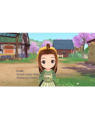 Story of Seasons: A Wonderful Life (Nintendo Switch) - 8