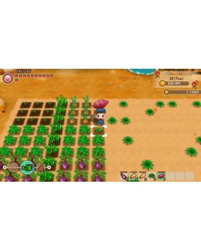 Story Of Seasons: Friends Of Mineral Town (PS4) - 7
