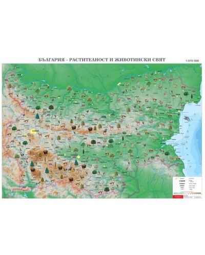 Растителност и животински свят - стенна карта на България (1:370 000) - 1