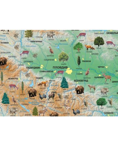 Растителност и животински свят - стенна карта на България (1:370 000) - 2