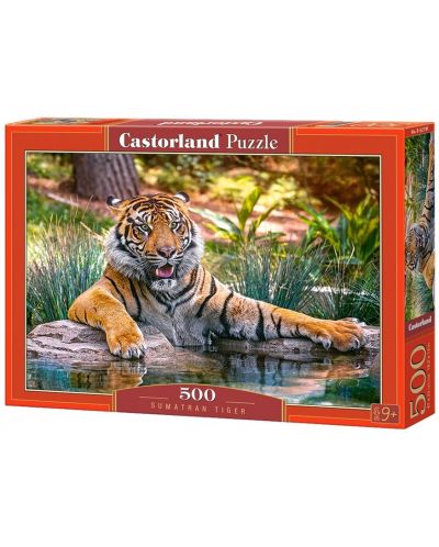 Пъзел Castorland от 500 части - Суматрански тигър - 1