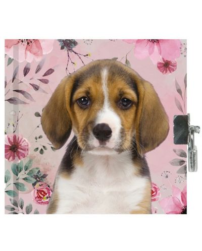 Таен дневник с катинар Paso – Сладко куче, Paso Dog - 1