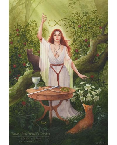 Tarot of the Witch's Garden - 6