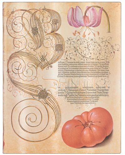 Тефтер Paperblanks Lily & Tomato - 18 х 23 cm, 88 листа - 1