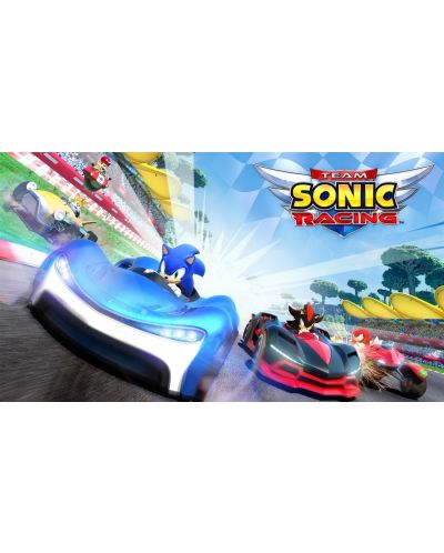 Team Sonic Racing - Special Edition (PS4) - 6