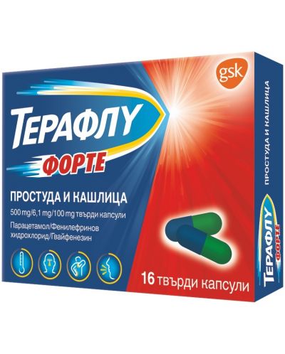 Терафлу Форте, 16 капсули, GSK - 1