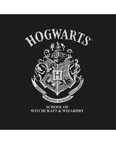 Тениска ABYstyle Movies: Harry Potter - Hogwarts - 2