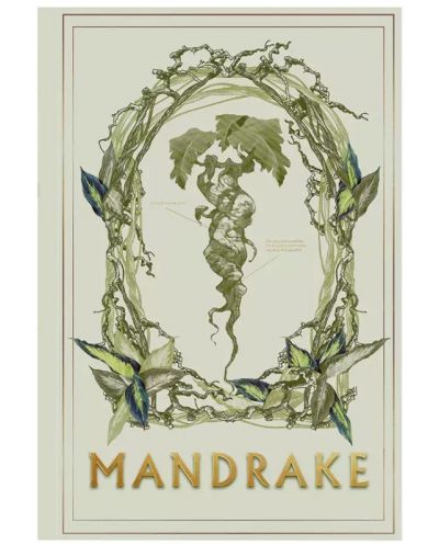 Тефтер Moriarty Art Project Movies: Harry Potter - Mandrake - 1