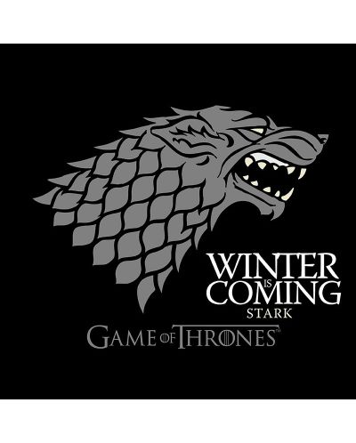 Тениска ABYstyle Television: Game of Thrones - Winter is Coming - 2