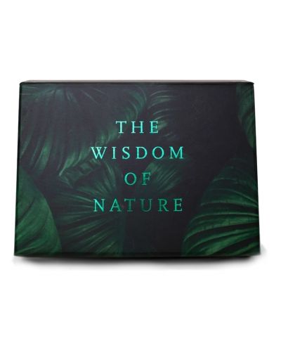 Комплект карти The School of Life - The Wisdom of Nature - 1