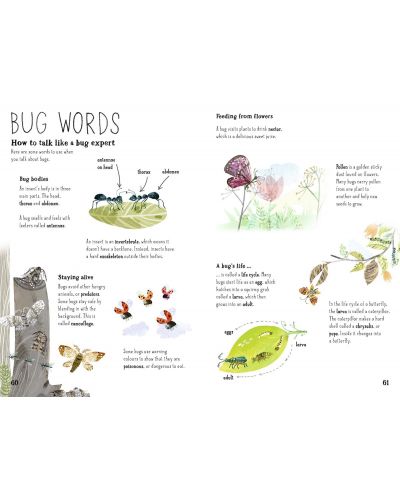 The Big Book of Bugs - 6