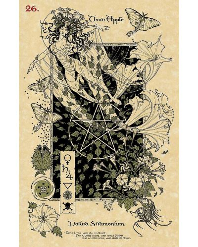 The Magickal Botanical Oracle (33-Card Deck) - 6