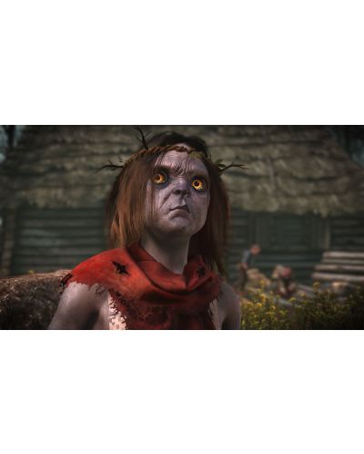 The Witcher 3: Wild Hunt (PS4) - 23
