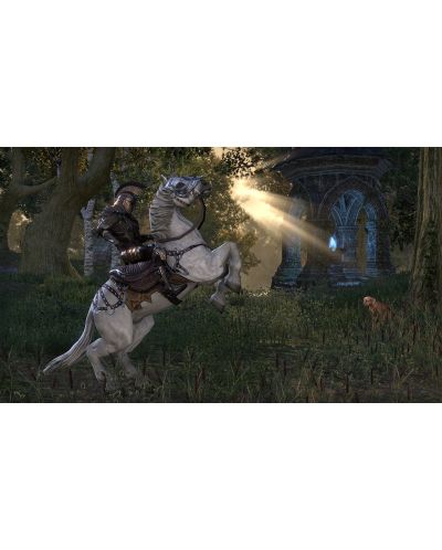 The Elder Scrolls Online - Gold Edition (PS4) - 5