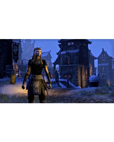 The Elder Scrolls Online (PC) - 5