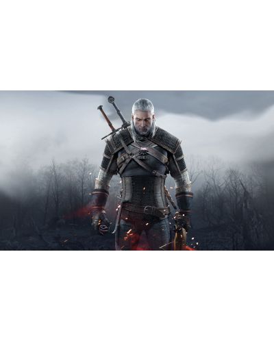 The Witcher 3: Wild Hunt (PC) - 4