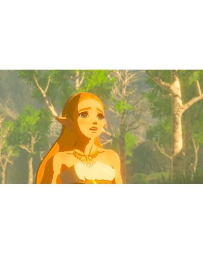 The Legend of Zelda: Breath of the Wild (Wii U) - 8