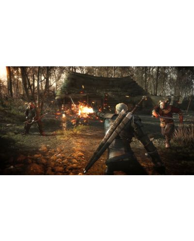 The Witcher 3: Wild Hunt (PS4) - 14