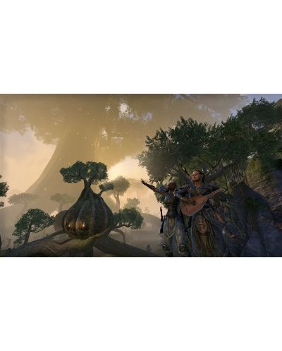 The Elder Scrolls Online: Tamriel Unlimited (PS4) - 16