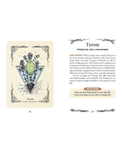 The Green Witch's Oracle Deck - 5