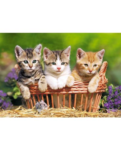 Пъзел Castorland от 500 части - Три сладки котета - 2