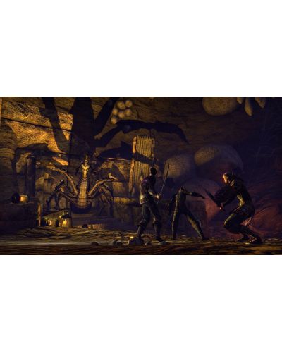 The Elder Scrolls Online Blackwood Collection (PS4) - 8