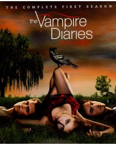 The Vampire Diaries : Seasons 1-8 (Final) - 18