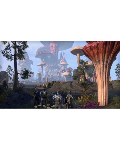 The Elder Scrolls Online: Morrowind (PC) - 7