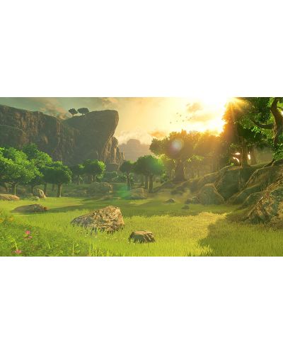 The Legend of Zelda: Breath of the Wild (Wii U) - 7