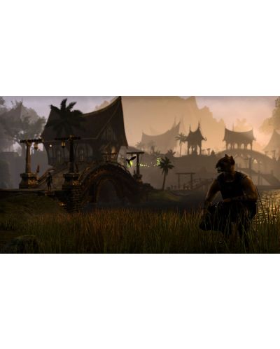 The Elder Scrolls Online (PC) - 6