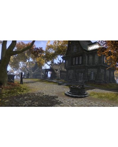 The Elder Scrolls Online Blackwood Collection (PS4) - 9