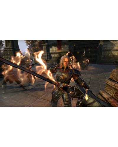 The Elder Scrolls Online: Tamriel Unlimited (PS4) - 12
