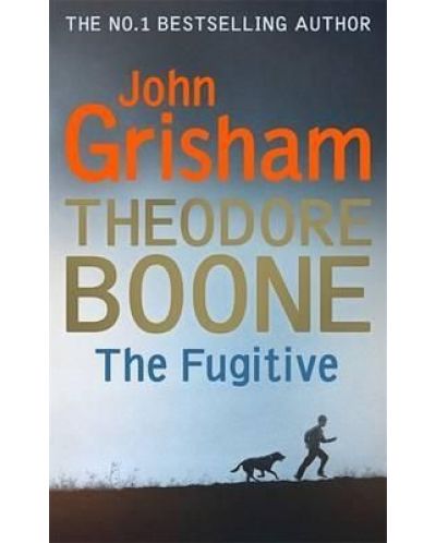 Theodore Boone The Fugitive - 1