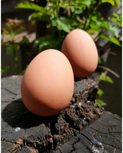 Топка Kikkerland - Подскачащо яйце - 2