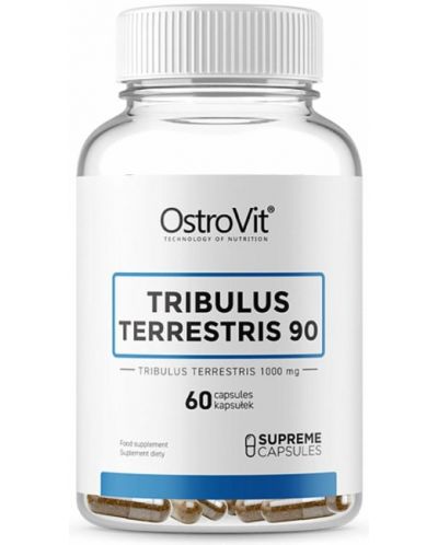 Tribulus Terrestris 90, 1000 mg, 60 капсули, OstroVit - 1