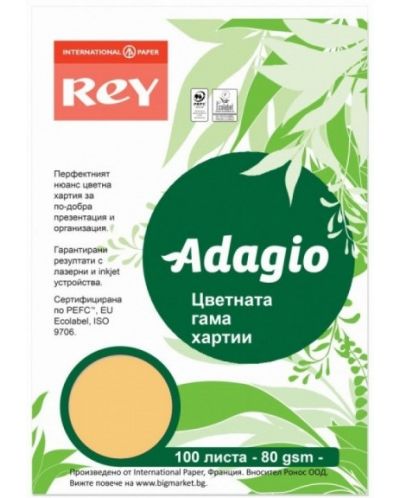 Цветна копирна хартия Rey Adagio - Beige, A4, 80 g, 100 листа - 1