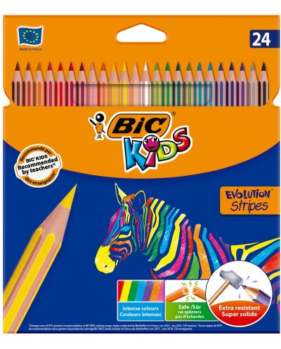 Цветни моливи BIC Kids - Evolution Stripes, 24 цвята - 1